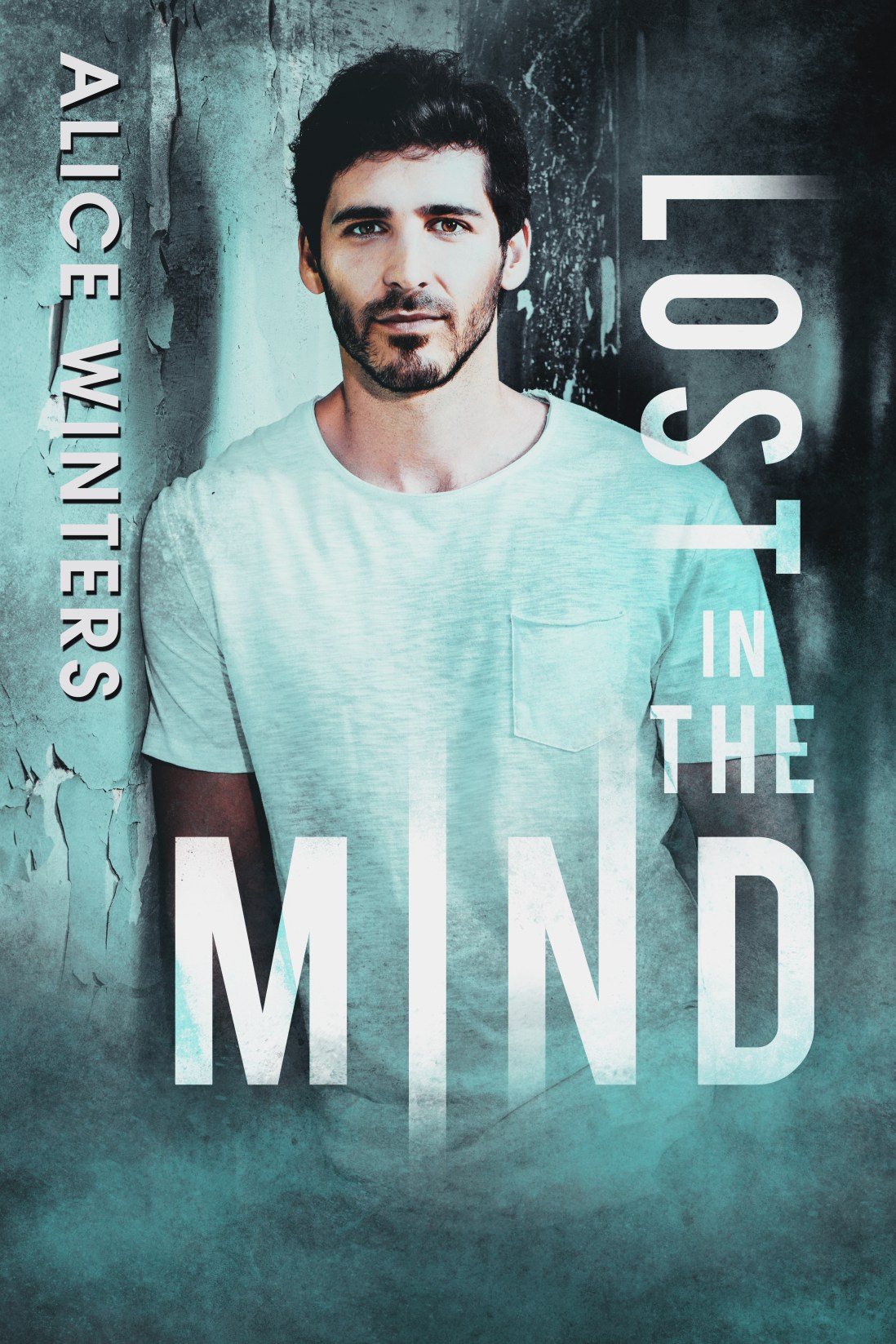 lost in the mind-ebook-complete.jpg