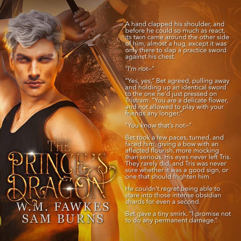 The Prince’s Dragon Promo 5