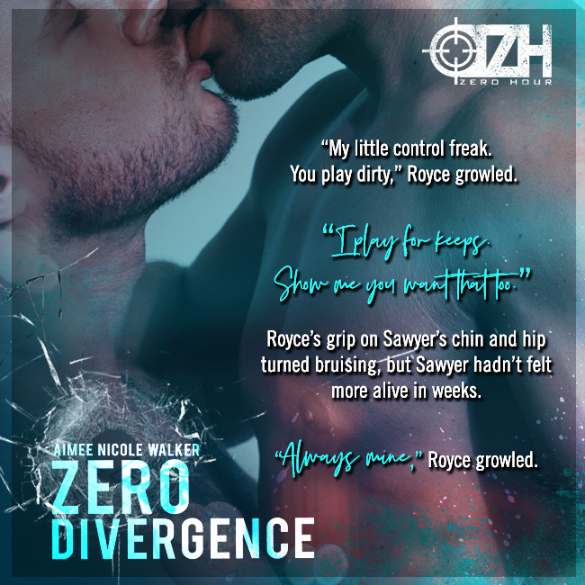 Zero Divergence teaser 4