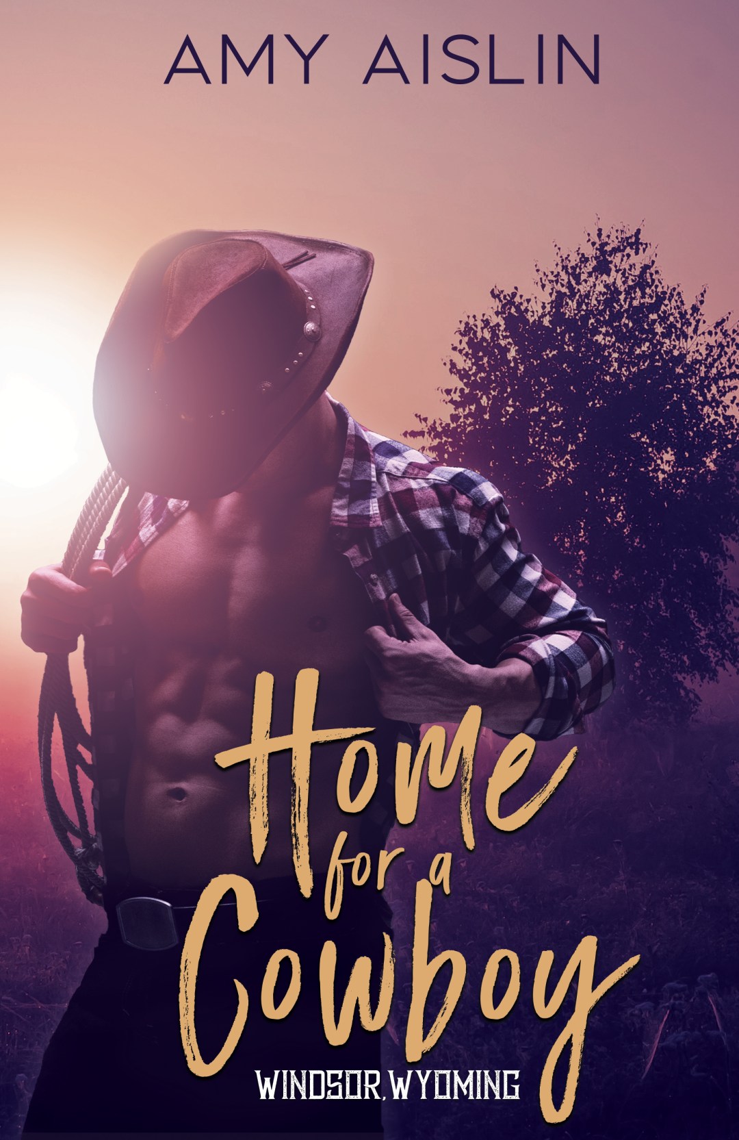 EBook---Home-for-a-Cowboy